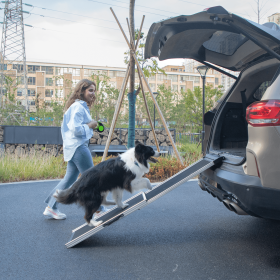 Foldable Aluminum Dog Car Step Ramp, Dog Ramp Climbing Ladder with PVC Handle, Non-slip Foot Mats for Most Sized Dogs, Pet Ramp Ladder, Black